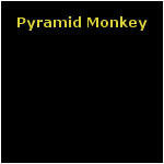 Pyramid Monkey